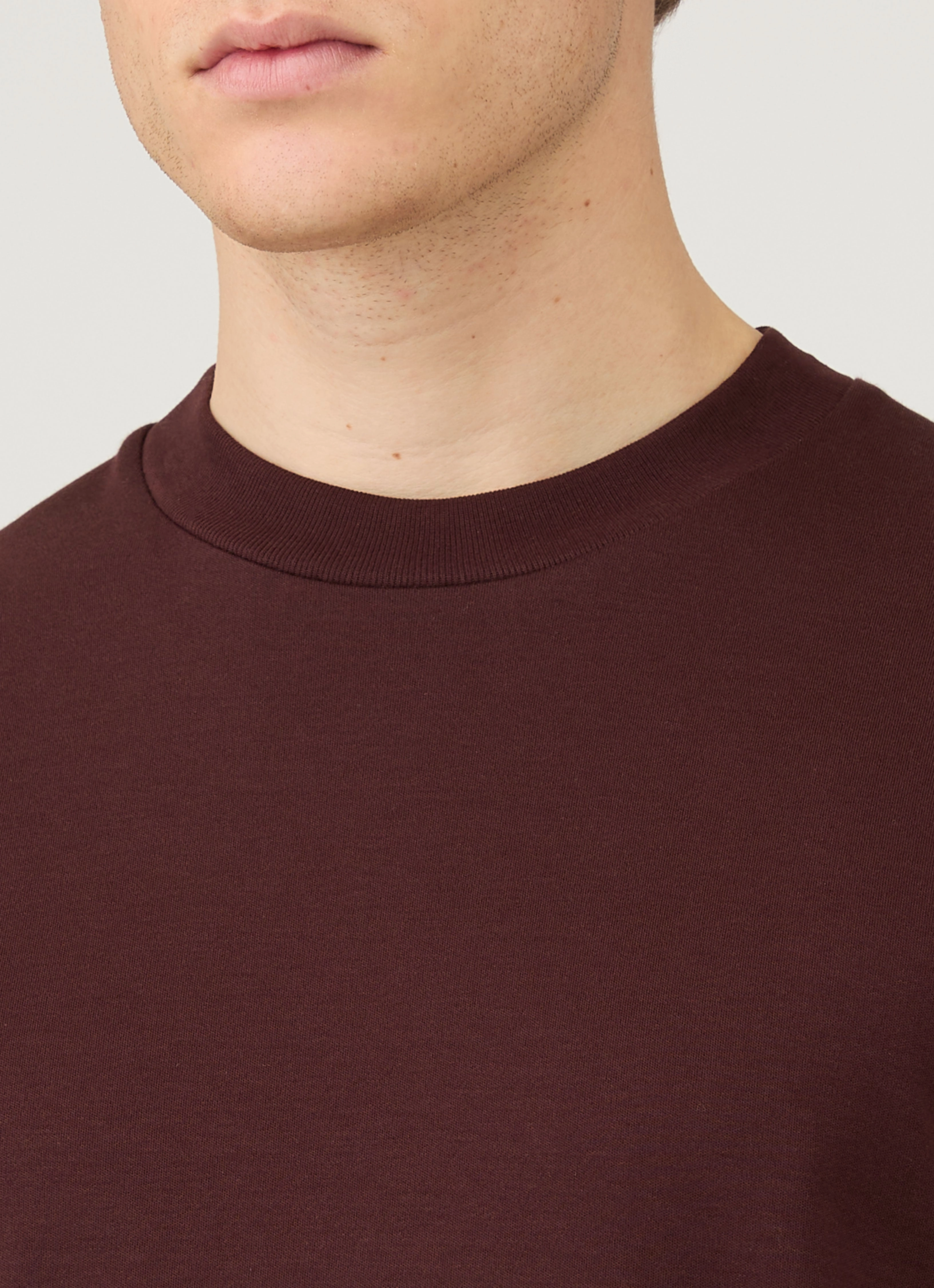 Men's Long Sleeve Heavyweight T-shirt in Bakelite Everyday Vibes
