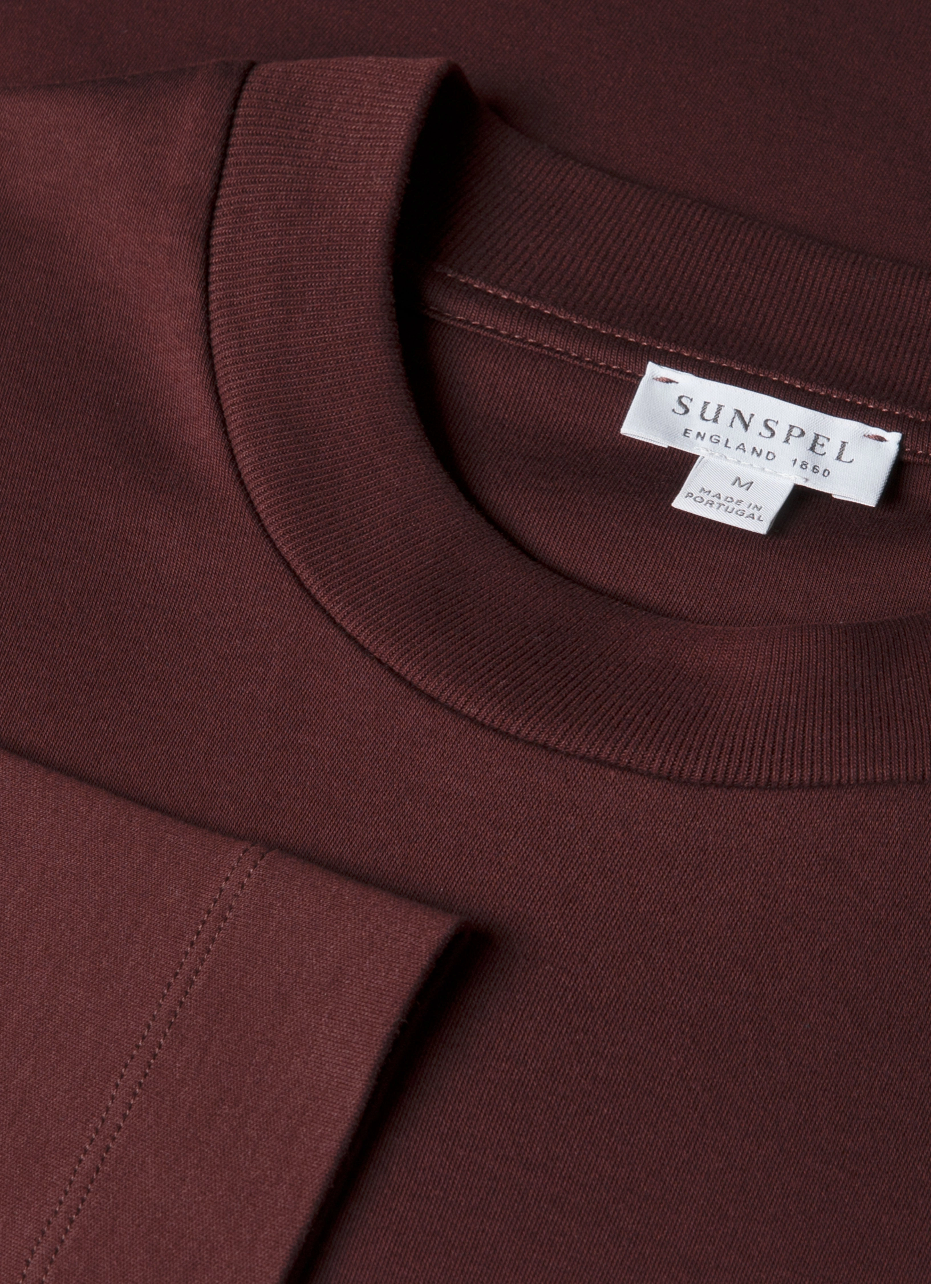 Men's Long Sleeve Heavyweight T-shirt in Bakelite Everyday Vibes