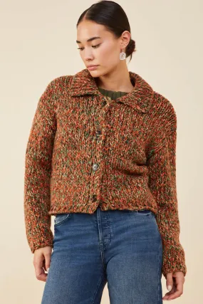 Sleek Finish Multicolor Yarn Collared Button Sweater Cardigan