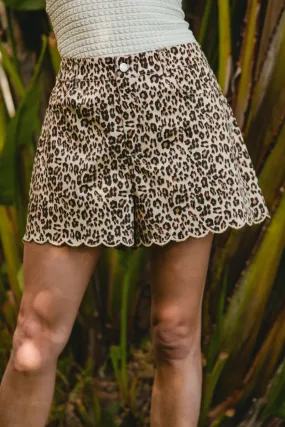 Travel Ready Fit Tailored Fit IB1753-01 | LEOPARD PRINT SCALLOPED EDGE HEM SHORTS