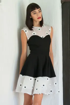 Vibrant Look Yolanda Daisy Dress - Black and White