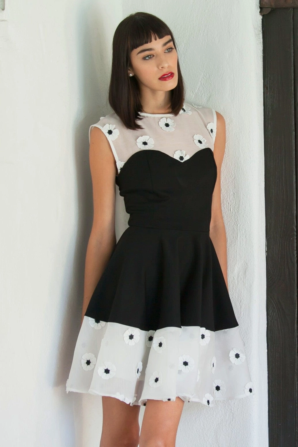 Vibrant Look Yolanda Daisy Dress - Black and White