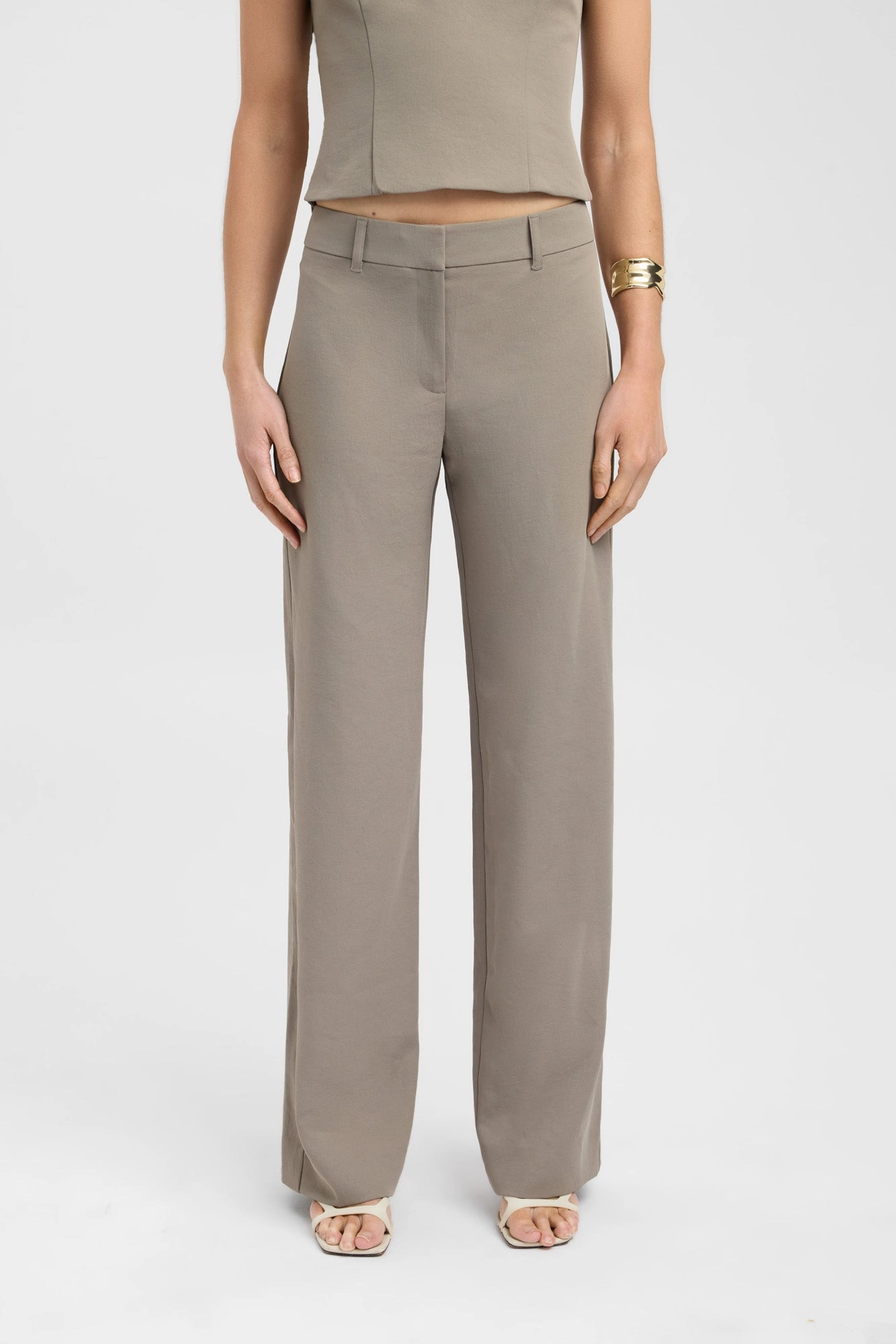 Skinny Fit Ariel Low Rise Pant